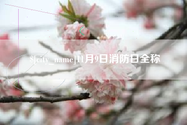 永新11月9日消防日全称