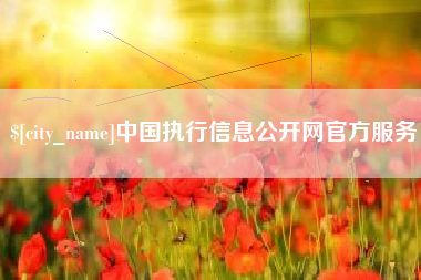永新中国执行信息公开网官方服务