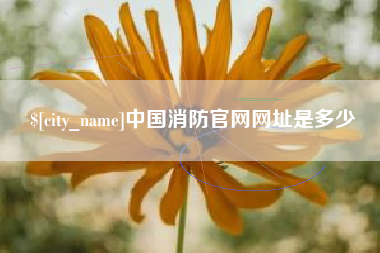 永新中国消防官网网址是多少