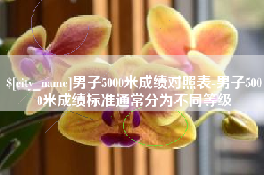 永新男子5000米成绩对照表-男子5000米成绩标准通常分为不同等级
