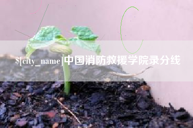 永新中国消防救援学院录分线