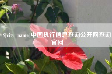 永新中国执行信息查询公开网查询官网