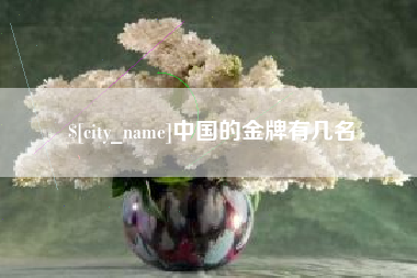 永新中国的金牌有几名
