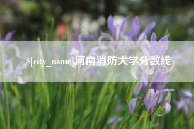 永新河南消防大学分数线