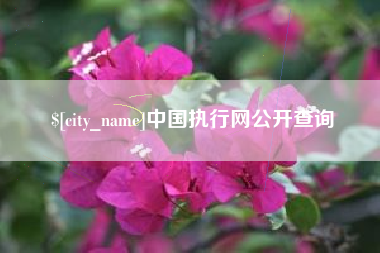 永新中国执行网公开查询