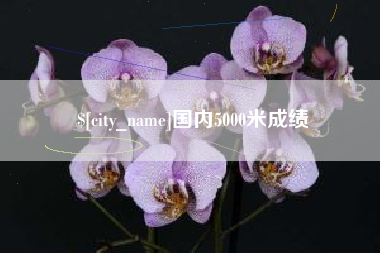 永新国内5000米成绩