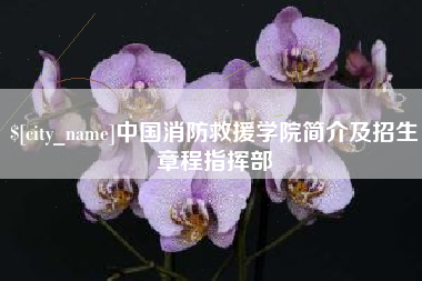 永新中国消防救援学院简介及招生章程指挥部
