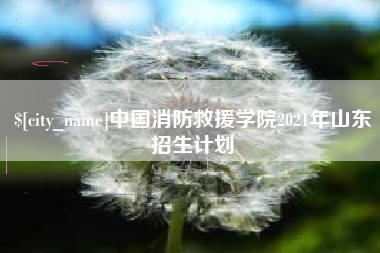 永新中国消防救援学院2021年山东招生计划