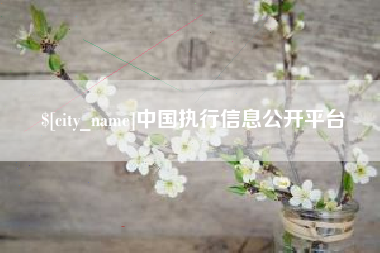 永新中国执行信息公开平台