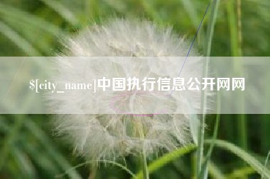 永新中国执行信息公开网网