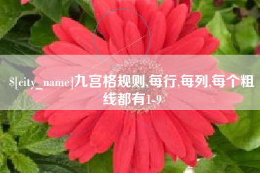 永新九宫格规则,每行,每列,每个粗线都有1-9