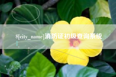 永新消防证初级查询系统