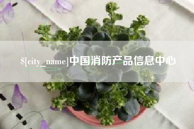 永新中国消防产品信息中心