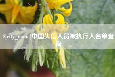 永新中国失信人员被执行人名单查询