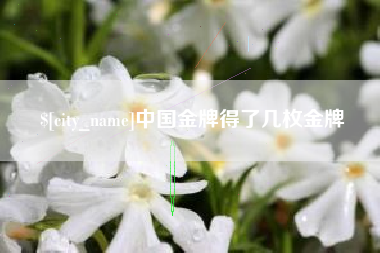 永新中国金牌得了几枚金牌