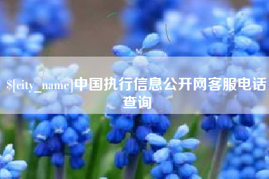 永新中国执行信息公开网客服电话查询