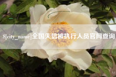永新全国失信被执行人员官网查询