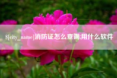 永新消防证怎么查询,用什么软件