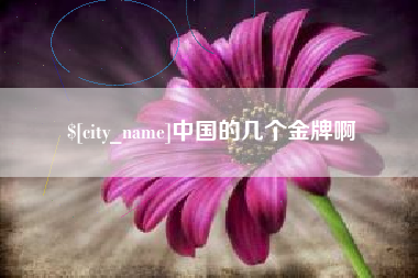 永新中国的几个金牌啊