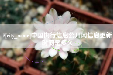 永新中国执行信息公开网信息更新时间是多久