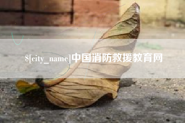 永新中国消防救援教育网