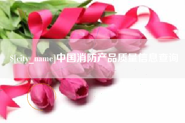 永新中国消防产品质量信息查询