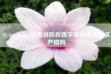 永新中国消防救援学院对视力要求严格吗