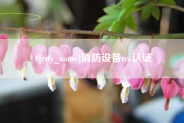 永新消防设备ccc认证