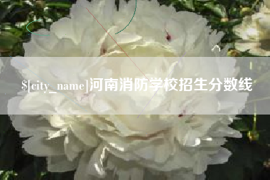 永新河南消防学校招生分数线