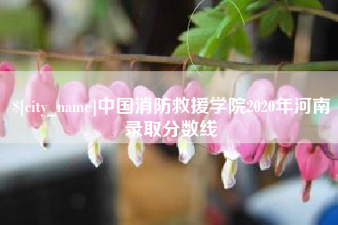 永新中国消防救援学院2020年河南录取分数线