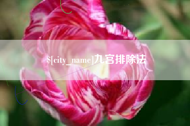 永新九宫排除法