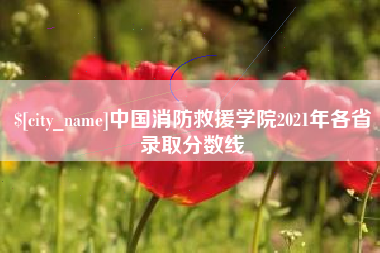 永新中国消防救援学院2021年各省录取分数线