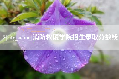 永新消防救援学院招生录取分数线