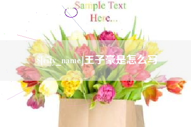永新王子豪是怎么写