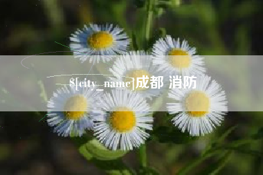 永新成都 消防