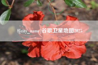 永新谷歌卫星地图2025