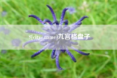 永新九宫格盘子