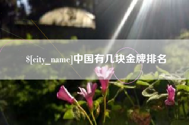 永新中国有几块金牌排名