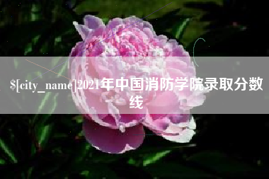 永新2021年中国消防学院录取分数线