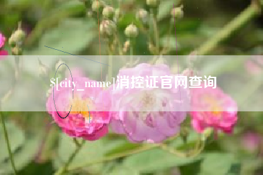 永新消控证官网查询