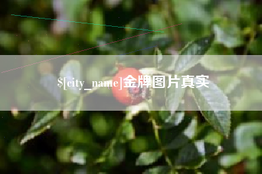 永新金牌图片真实