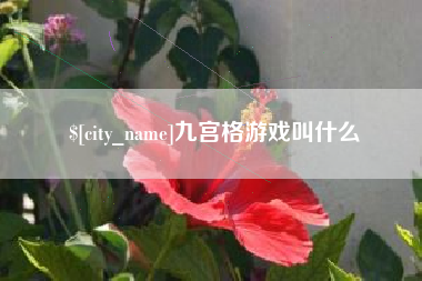 永新九宫格游戏叫什么