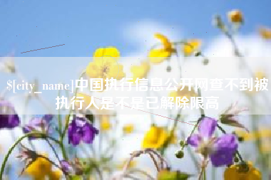 永新中国执行信息公开网查不到被执行人是不是已解除限高