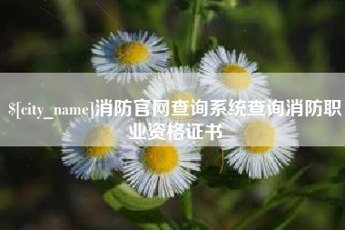 永新消防官网查询系统查询消防职业资格证书