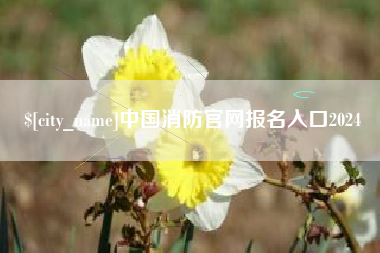 永新中国消防官网报名入口2024