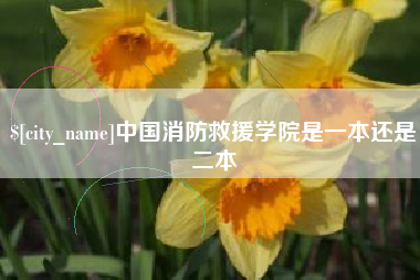 永新中国消防救援学院是一本还是二本