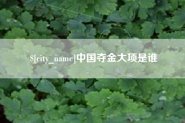 永新中国夺金大项是谁