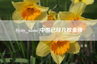 永新中国已经几枚金牌
