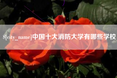 永新中国十大消防大学有哪些学校