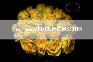 永新中国执行信息公开网